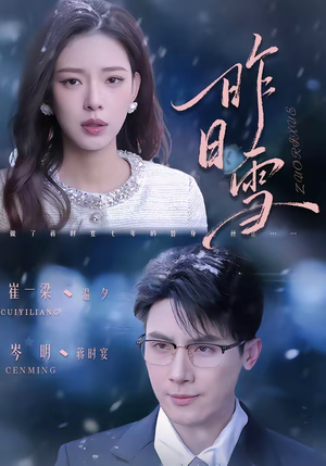 昨日雪(70集) 昨日雪(70集)大结局一气呵成