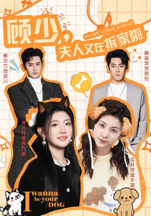 顾少,夫人又在拆家啦(78集) 顾少,夫人又在拆家啦(78集)超好看古装短剧