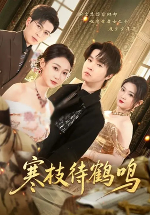 寒枝待鹤鸣(70集) 寒枝待鹤鸣(70集)简直不要太好看