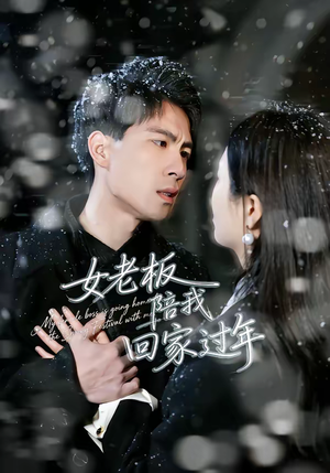 女老板陪我回家过年(40集) 女老板陪我回家过年(40集)抢先看热门短剧