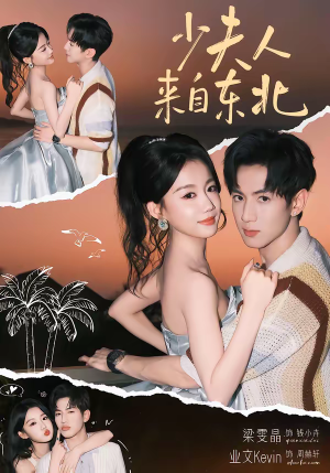 少夫人来自东北（80集）迅雷网盘观看