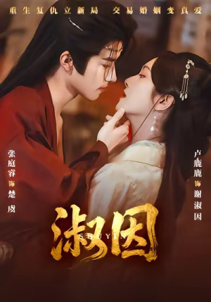 淑因（65集）超火热门短剧