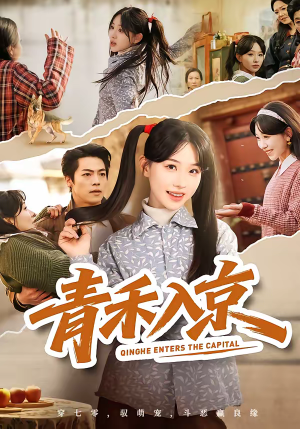 青禾入京(60集) 青禾入京(60集)海量资源免费看