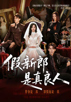 假新郎是真良人（67集）流畅播放免费看