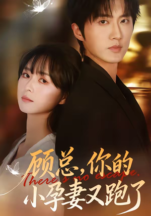 顾总，你的小孕妻又跑了（47集）一起追短剧