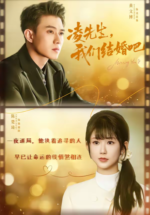 凌先生，我们结婚吧（68集）太好看了短剧