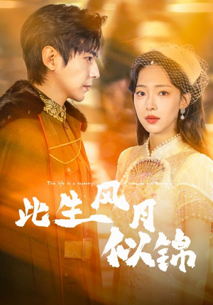 此生风月似锦（61集）短剧小说在线看
