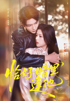 恰好暗里逢他（66集）悬疑短剧推荐