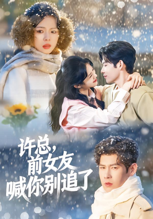 许总，前女友喊你别追了（80集）男频短剧推荐
