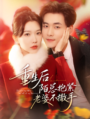 重生后陌总抱紧老婆不撒手（66集）精彩好看短剧