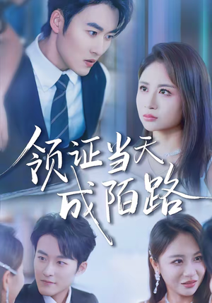 领证当天成陌路（39集）小短剧抢先看