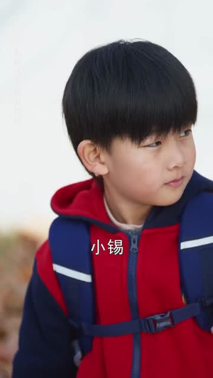 危婚倒计时（60集）好看的短剧来了