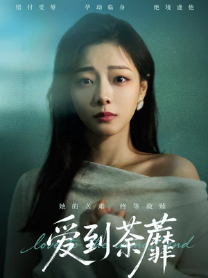 爱到荼蘼（63集）每天分享短剧