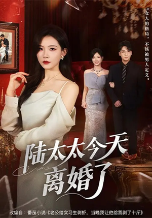 陆太太今天离婚了（59集）一口气追完全集