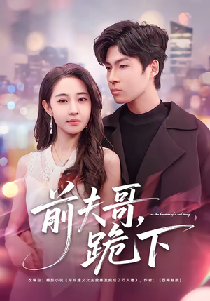 前夫哥，跪下（58集）全集下载