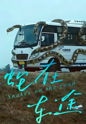 蛇在车途（34集）独家内容免费看