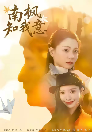 南枫知我意(41集) 南枫知我意(41集)热播短剧全集看