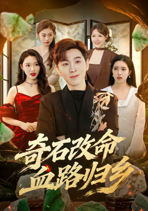 奇石改命血路归乡（81集）好看短剧看不停