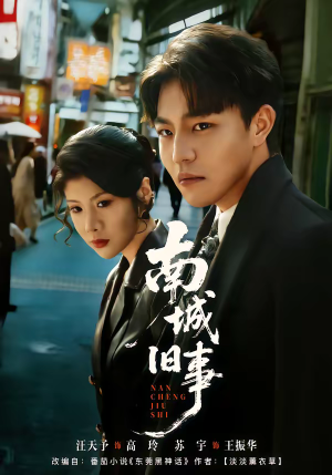 南城旧事(80集) 南城旧事(80集)小短剧抢先看