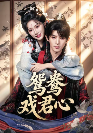 鸳鸯戏君心(60集) 鸳鸯戏君心(60集)精彩片段