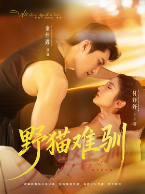 野猫难驯（73集）短剧每日分享