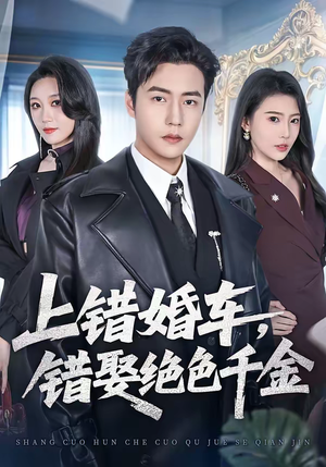 上错婚车，错娶绝色千金（80集）哪个网站可以看
