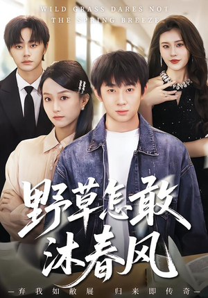 野草怎敢沐春风(61集) 野草怎敢沐春风(61集)最新火爆短剧