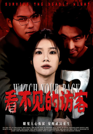 看不见的访客（62集）精彩短剧合集