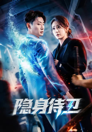 隐身侍卫（80集）百度网盘资源