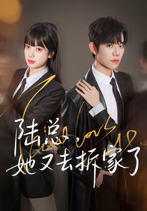 陆总，她又去拆家了（80集）短剧上头又好看