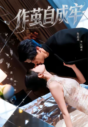 作茧自成牢（52集）百度网盘在线看