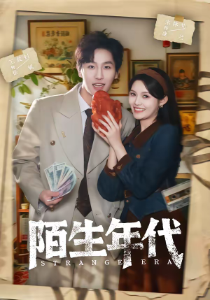 陌生年代(104集) 陌生年代(104集)热播短剧免费看