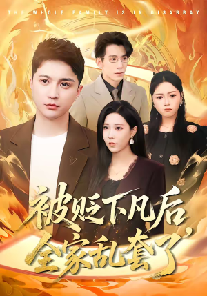 被贬下凡后全家乱套了(88集) 被贬下凡后全家乱套了(88集)免费在线看全集