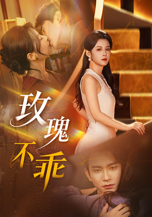 玫瑰不乖（69集）百度网盘资源