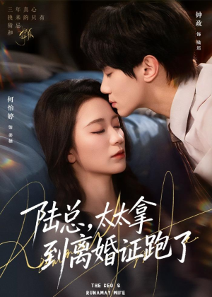 陆总，太太拿到离婚证跑了（86集）高清无码免费看