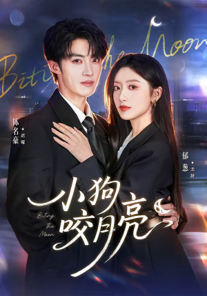小狗咬月亮（66集）在哪看免费