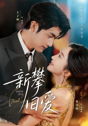 新攀旧爱（67集）爱上了这部剧了