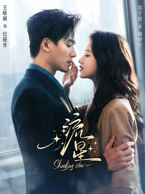 流星（77集）夸克在线观看