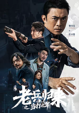 老兵归来之当打之年（71集）海量资源免费看