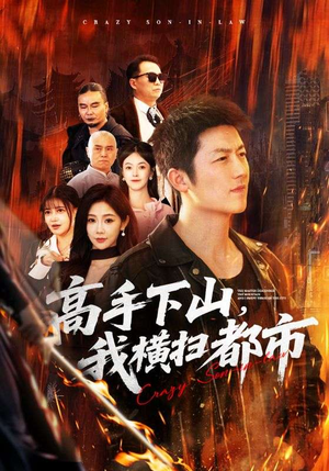 高手下山,我横扫都市(69集) 高手下山,我横扫都市(69集)一口气看完