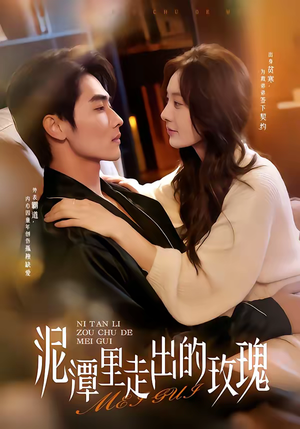 泥潭里走出的玫瑰（91集）免费在线看全集