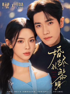 婚烬致黎明(77集) 婚烬致黎明(77集)最新上映免费看