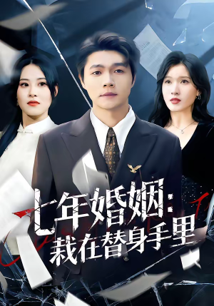 七年婚姻:栽在替身手里(80集) 七年婚姻:栽在替身手里(80集)追短剧太上头了