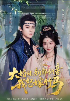 大婚日，新郎纳妾我怒嫁竹马（80集）短剧免费看