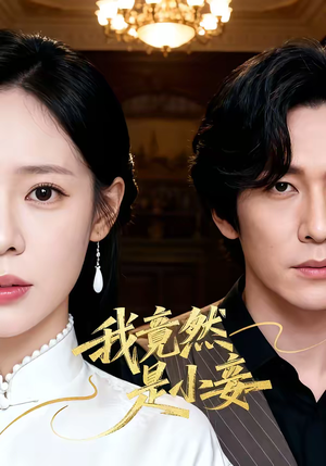 我竟然是小妾(47集) 我竟然是小妾(47集)夸克网盘在线看