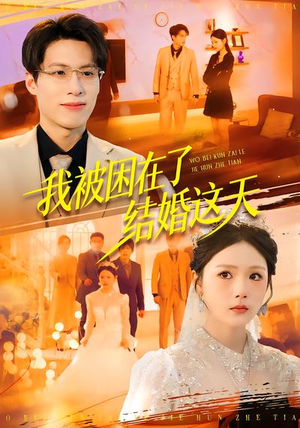 我被困在了结婚这天（40集）短剧追不停