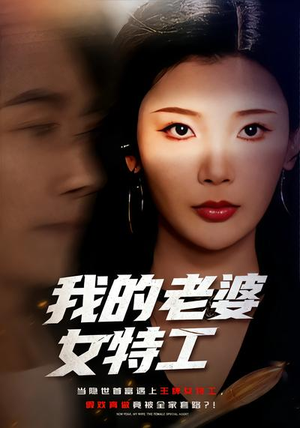 我的老婆女特工（62集）热播短剧全集看