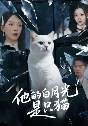 他的白月光是只猫（69集）全网独播免费看