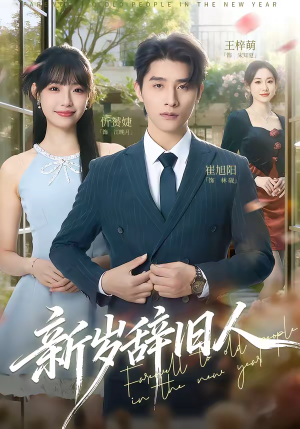 新岁辞旧人（76集）热播短剧免费看