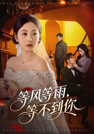 等风等雨，等不到你（65集）古装热门短剧